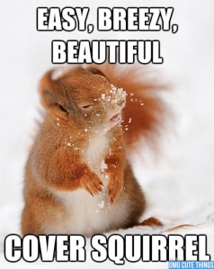Cover squirrel