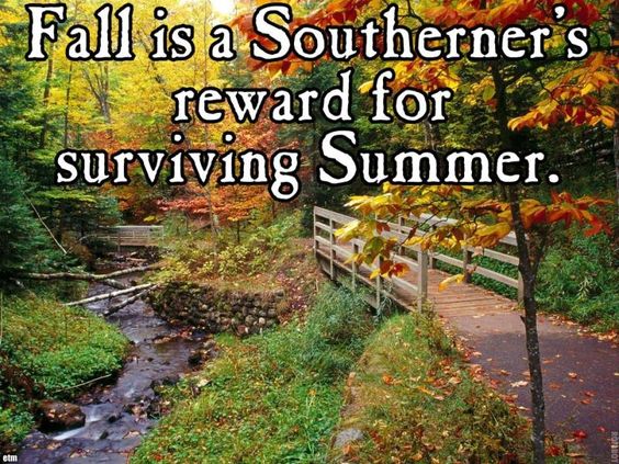 southeners-reward