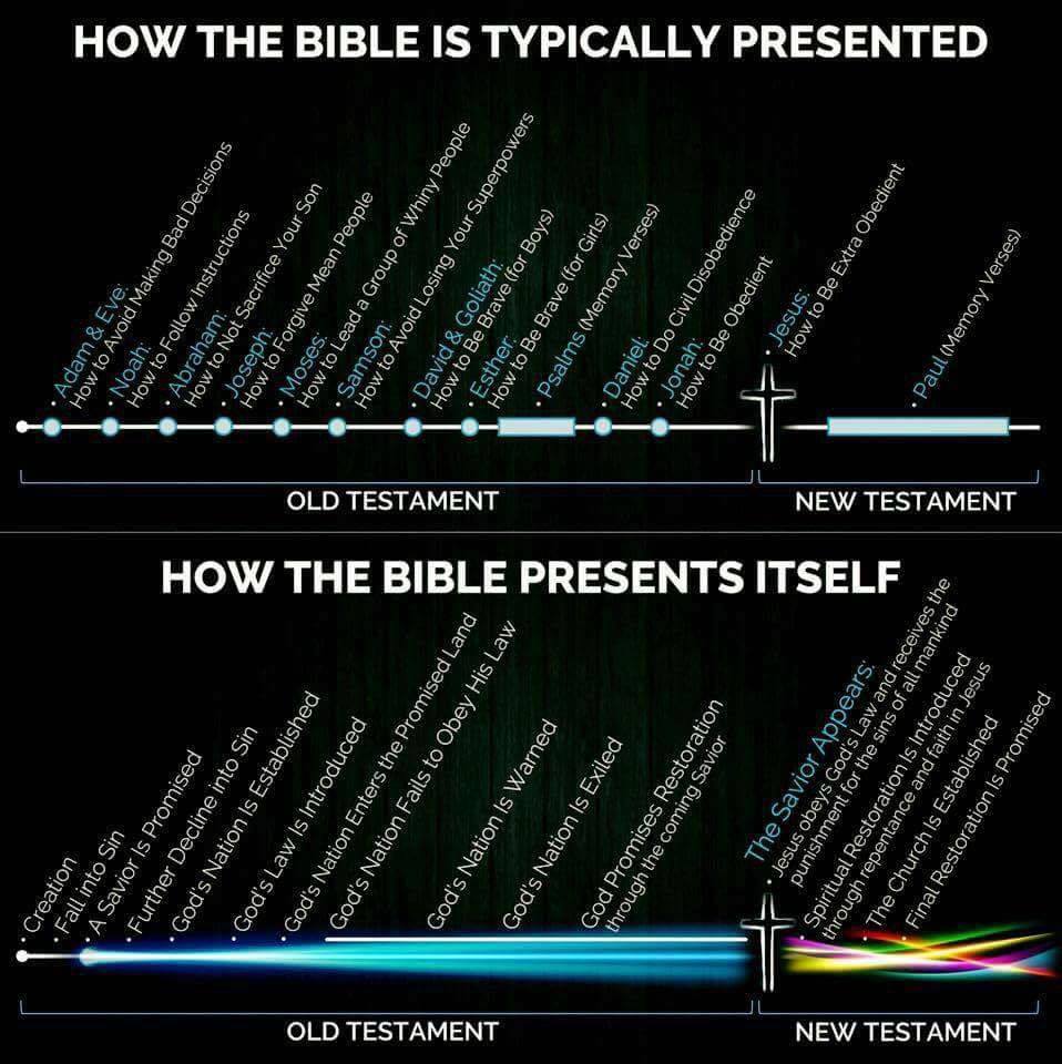 What the Bible's About