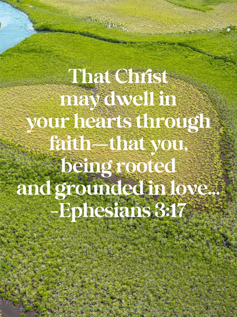 That Christ may dwell in your hearts through faith--that you, being rooted and grounded in love. Ephesians 3:17)
