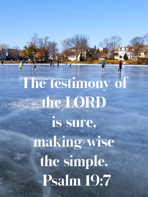 Psalm 19:7: The testimony of the LORD is sure.